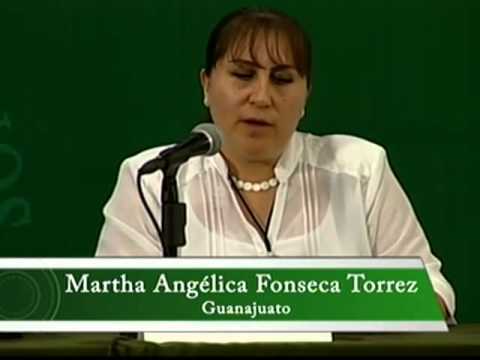 Mesa 4 del Foro de Consulta
