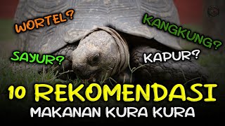 10 REKOMENDASI MAKANAN | KURA KURA