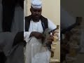 الفنان الجيلي ودماهل المفتريه اغنيه واقعيه