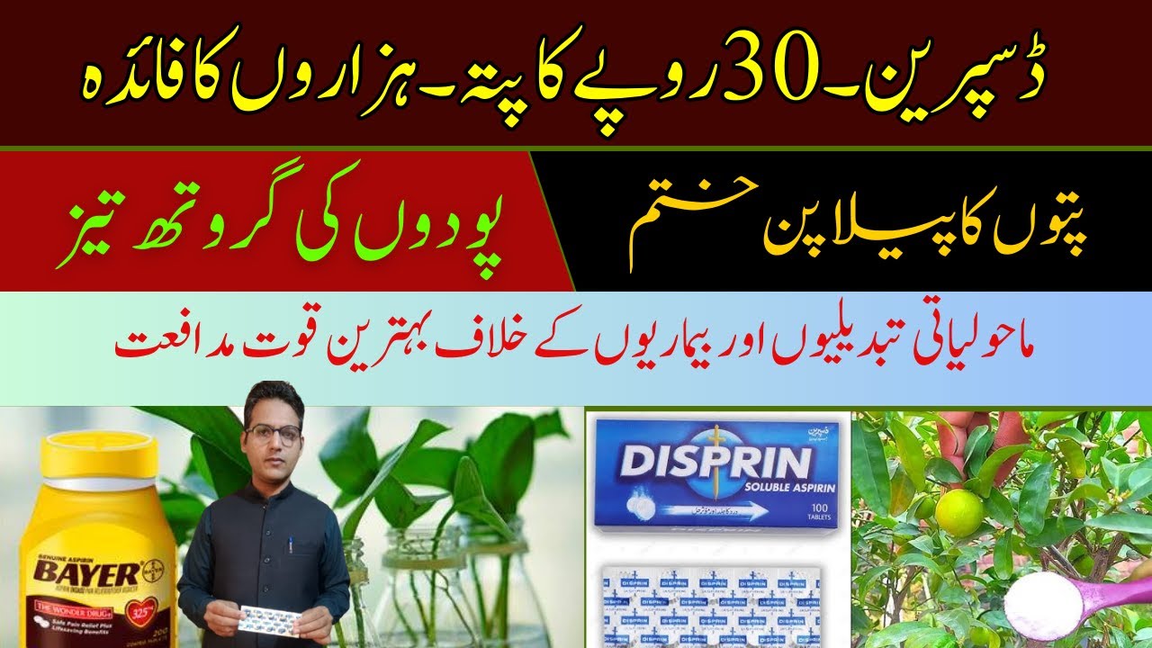 Disprin: A Boost for Plant Health | Cyber Agri Extension |