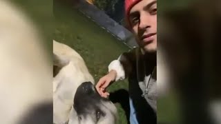 Reynmen Kangal Köpeği Zimba ile Oynuyor
