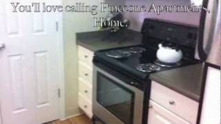 Pinecone Apartments ~ The Renovated Pinewood ~ 2 bedroom / 2 bath Model