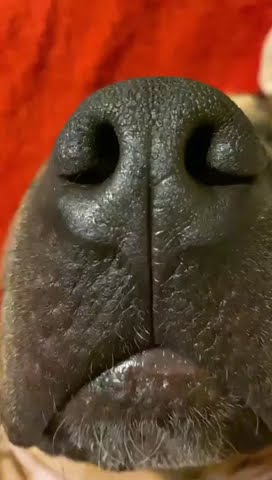 youtube.com