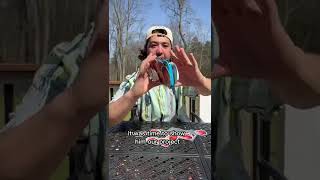 Covering Little Brothers Switch In Stickers?