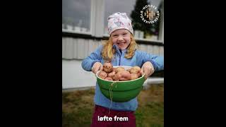Over 100 Lokale Bygdekvinnelag Feiret Vår Dag I Frivillighetens År