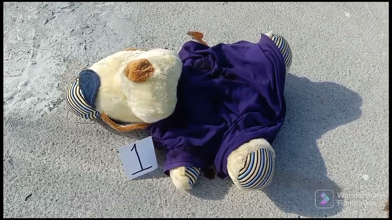 FORENSIC VIDEOGRAPHY