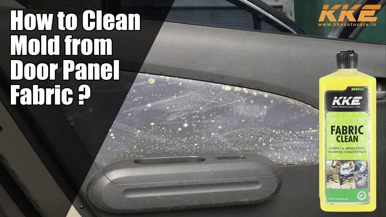 How to Clean Mold from Door Panel Fabric?