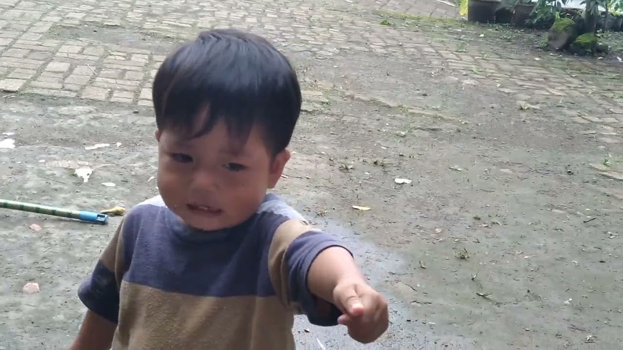 ADEK MAU NGAMBIL JAMBU