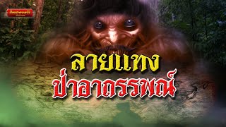 เรื่องเล่าจากอาโป ลายแทงป่าอาถรรพณ์