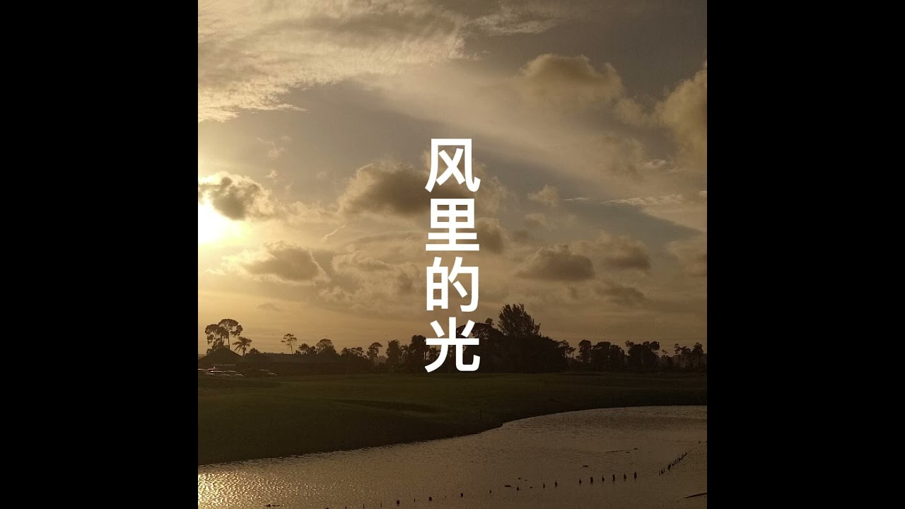 风里的光