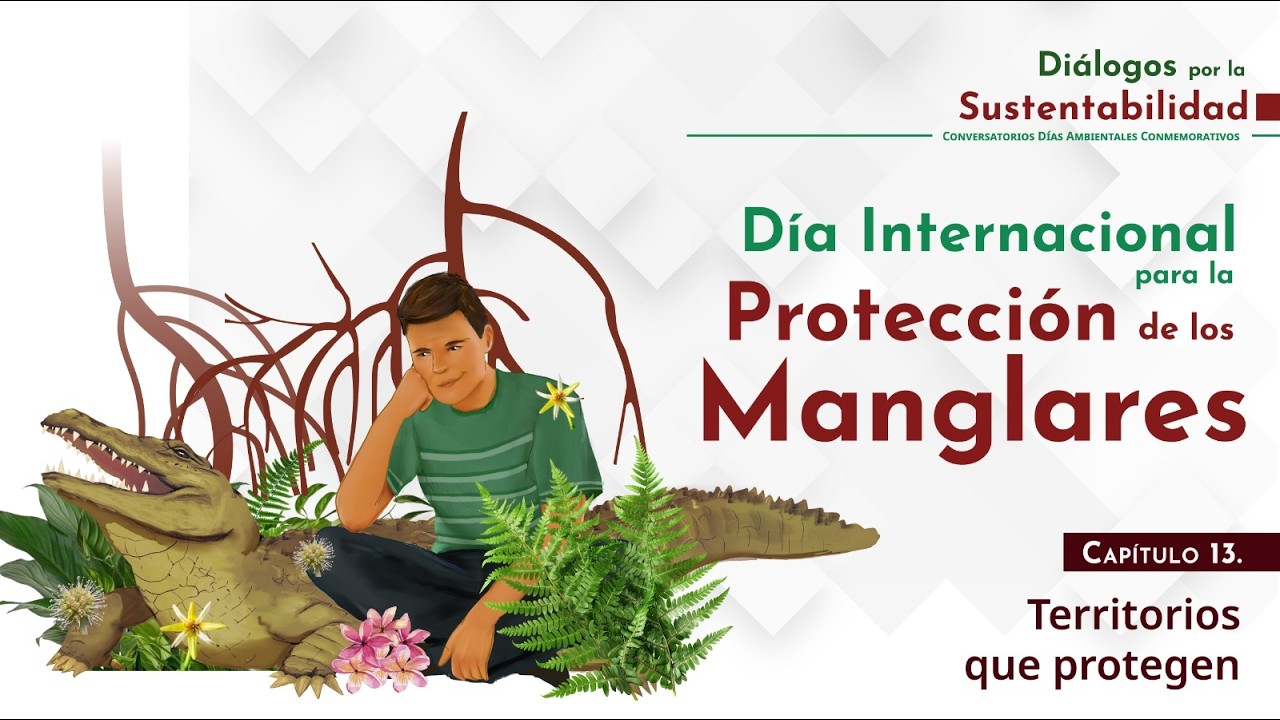 ¿Qué son los MANGLARES y por qué son vitales contra el CAMBIO CLIMÁTICO? 🌿🌊 | Cap. 13