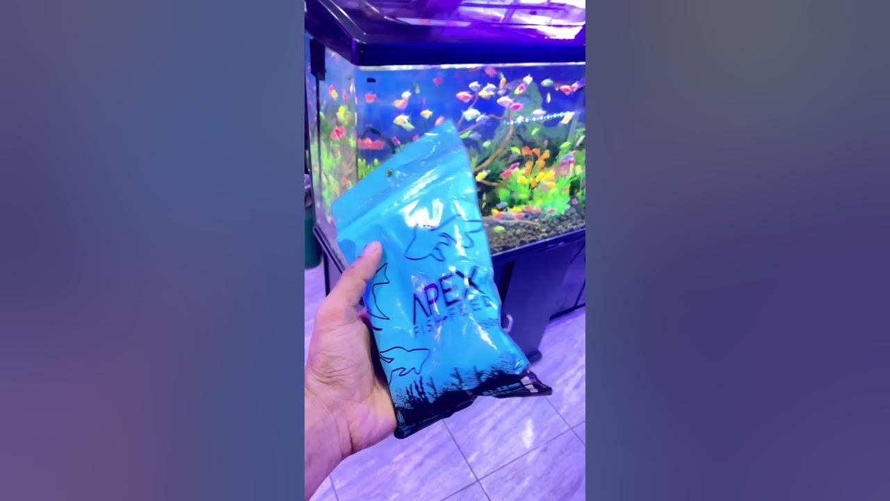 food-for-baby-fishes-youtube