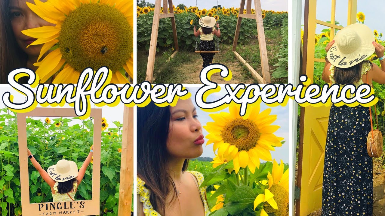 SUNFLOWER EXPERIENCE (Summer2021) 🌻🇨🇦