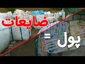 رفتم سراغ انبار تفکیک ضایعات پلاستیک تا از درآمد و نحوه کارشان اطلاع پیدا کنم 