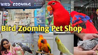 আফ্রিকান গ্রে প্যারট বেবি পাবেন Bird Zooming Pet Shop মিরপুরে।
