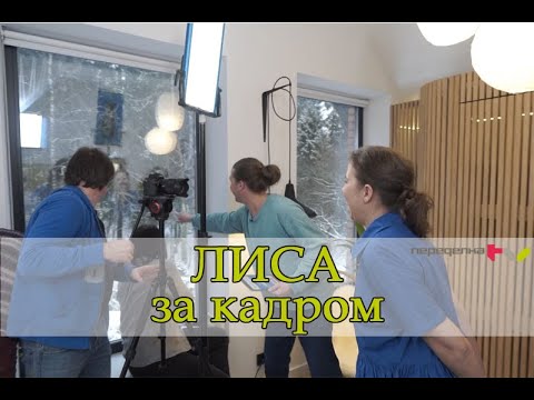 Лиса на съемках Дачного ответа