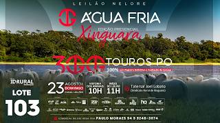 LOTE 103