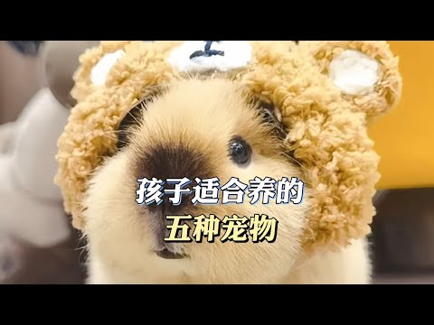 小孩子适合养的五种宠物
