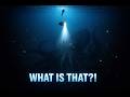 I Explored the Deep Ocean… What I Found Is Insane"