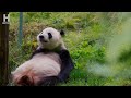 【本編特別映像】長江 生命の鼓動