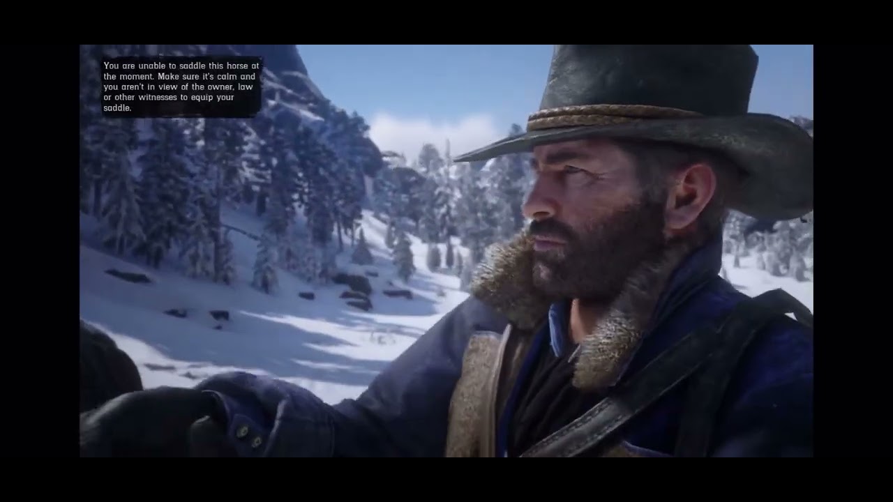 Taiga Rdr2 School Project: Why YOU should visit the Taiga biome. - YouTube
