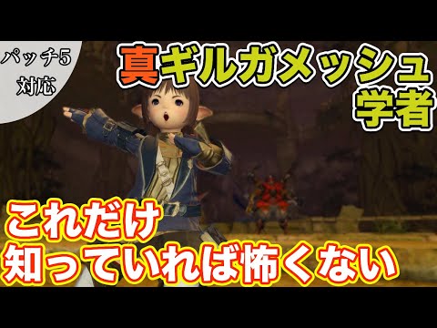 【FF14】真ギルガメッシュに学者(ヒーラー)で挑戦【これだけ知っていれば怖くないヒーラー編 2021年版】