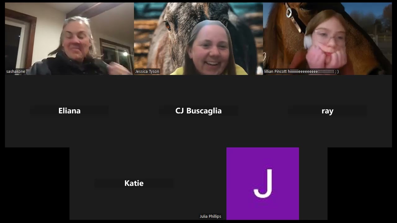 NYS 4-H Horse Career Zoom Series 2026: Equine Dentistry