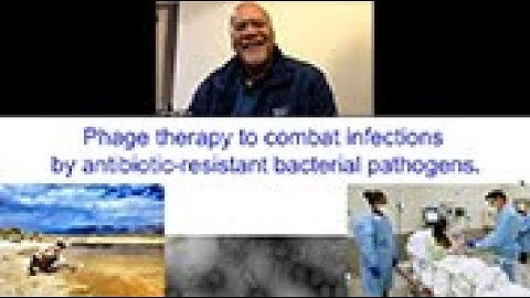 Phage Therapy to Combat Infections by Antibiotic-Resistant Bacteria