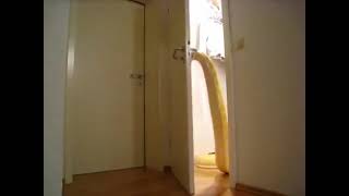 Snake opens door to Phil Collins