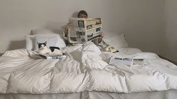 Maddvilo - Goodbye (Official Music Video) 