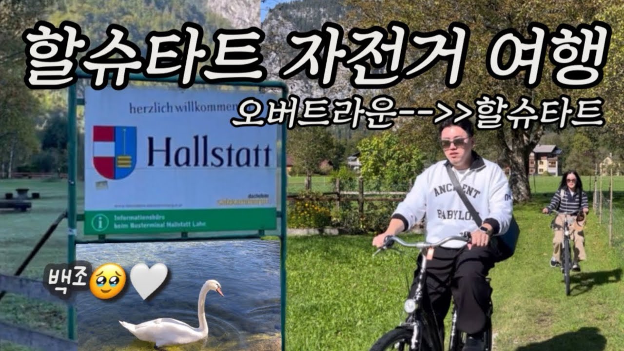 #08 [🇦🇹Austria trip] 할슈타트만 3번 다녀옴! 한번은 자전거 렌트 | 오버트라운 숙소 | 도르미오리조트 | 드디어 백조 봤어요...🦢🩵