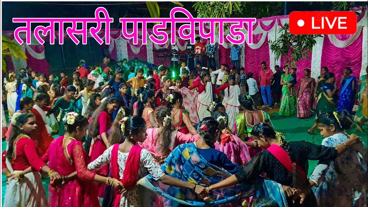 24 February 2026 तलासरी पाडविपाडा गावातिल लग्नातिल धवडा डान्स विडिओ | Amir Davare Offlcial 