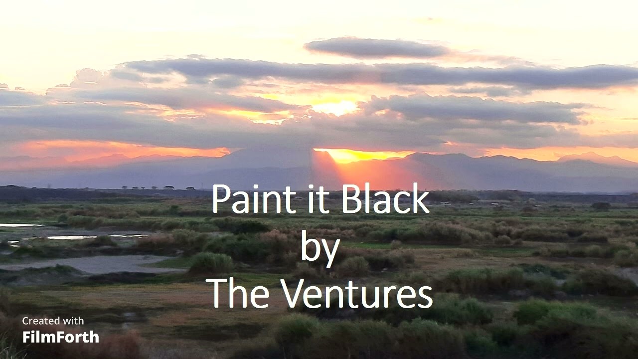 The Ventures - Paint it Black