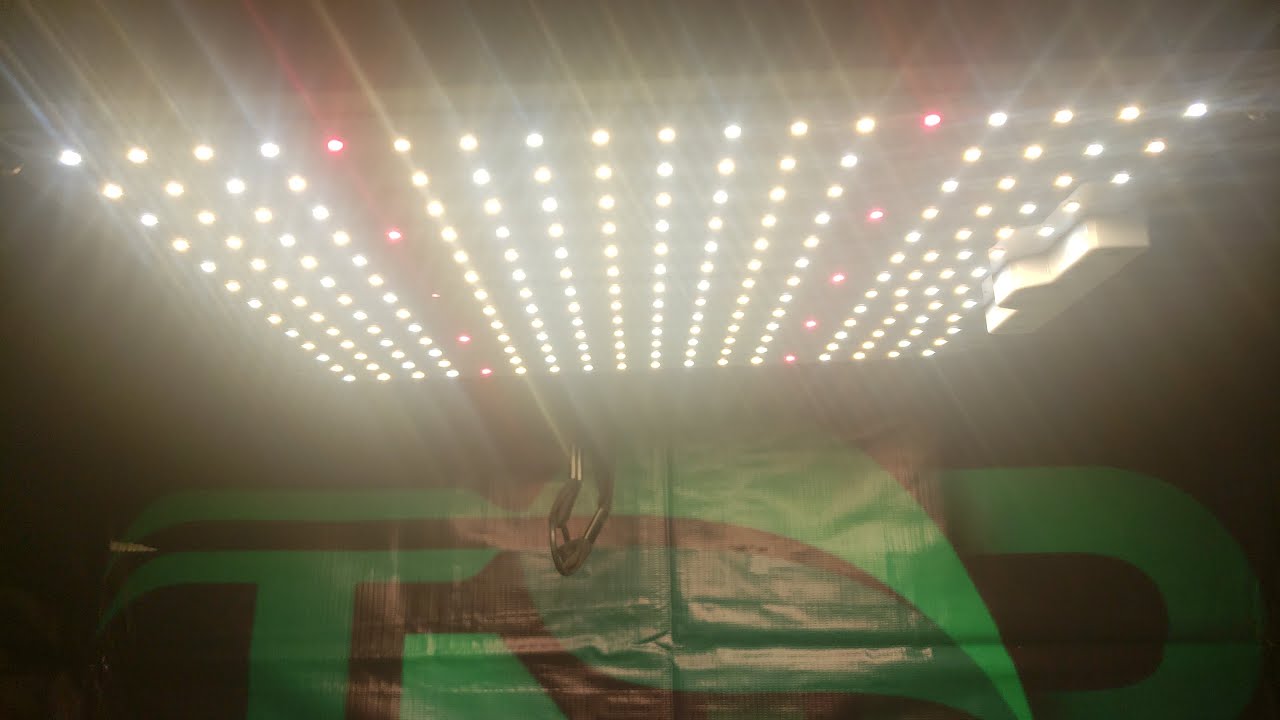 Spider Farmer SF1000 (UNBOXING)