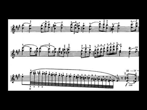 N.Paganini: Caprice No.21