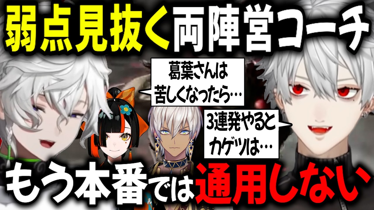 【3視点 】葛葉とカゲツの弱点が明るみに!? 両視点で探り合いを見る【切り抜き/にじさんじ/叢雲カゲツ/蝶屋はなび/ぶいすぽっ!/V最スクリム】