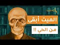 جبتلك التايهة الميت أبقى من الحي جبتلك التايهة الميت أبقى من الحي