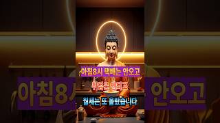 해탈은 컵라면 속에 있다🍜 자취생의 현실 출근루틴 #부처님말씀 #마음공부 #명상