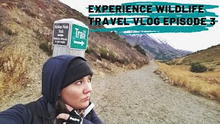 My most asked question, answered - Experience Wildlife Vlog #3