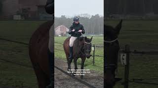 Love rain but not this time😉 #horse #equestrian #horseriding #viralshorts #fyp ctto:dressagebysoof