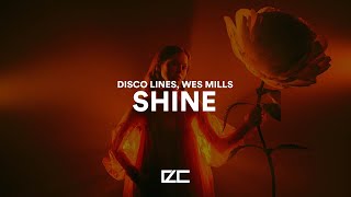 Disco Lines, wes mills  -  shine