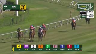 Vidéo de la course PMU PRIX QUINCHO