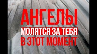 За Тебя Молятся Ангелы Когда Ты Поступаешь Так 