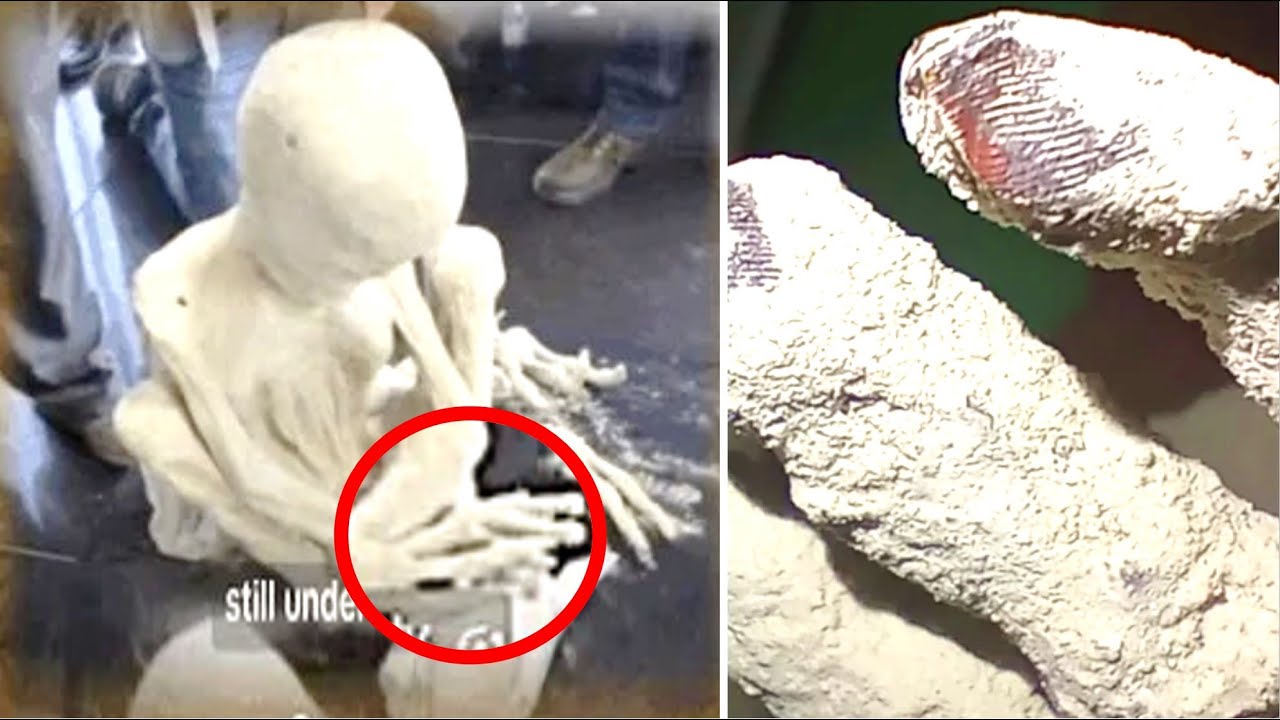 This New Nazca Alien That Was Just Found Has Fingerprints Entirely Different To A Human Fingerprint