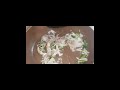 #food #1000subscriber #music