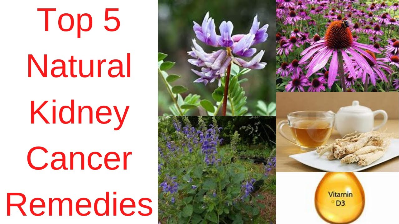 Top 5 Natural Kidney Cancer Remedies - Which is the best herbs for kidney cancer? | 247nht