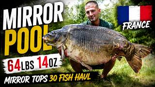 Carp fishing 64lbs 14oz mirror carp tops 30 fish haul from mirror pool France