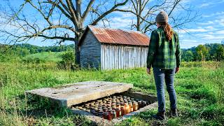 Her Husband Emptied the Accounts and Vanished — But Forgot the $2 Beekeeper's Shed in Her Name