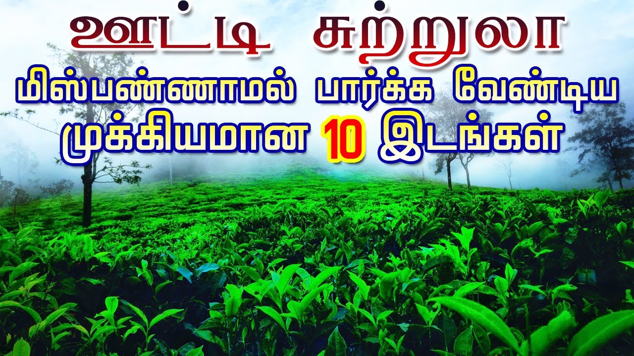 ஊட்டி சுற்றுலா Top 10 Beautiful Places to Visit in Ooty Ooty