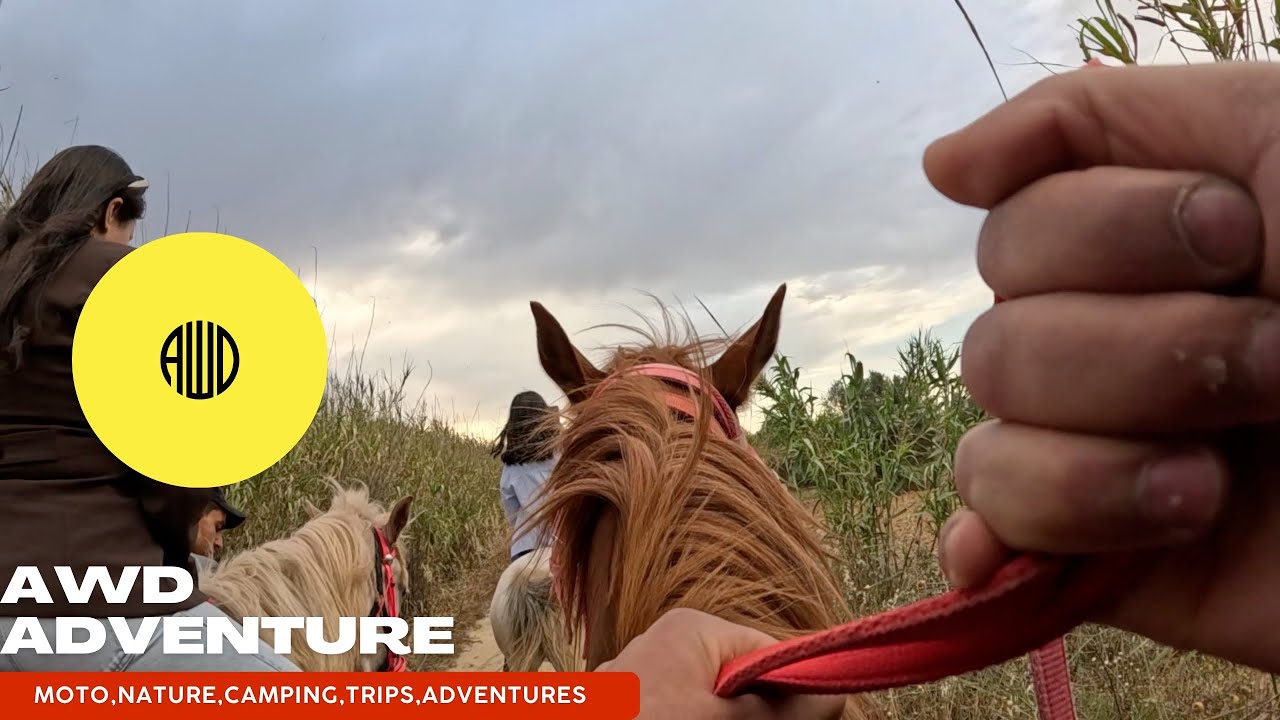 Horseback Riding in the Wild Nature of Tunisia | 4k